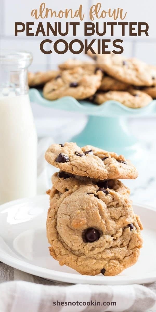 Almond Flour Oatmeal Raisin Cookies She's Not Cookin'