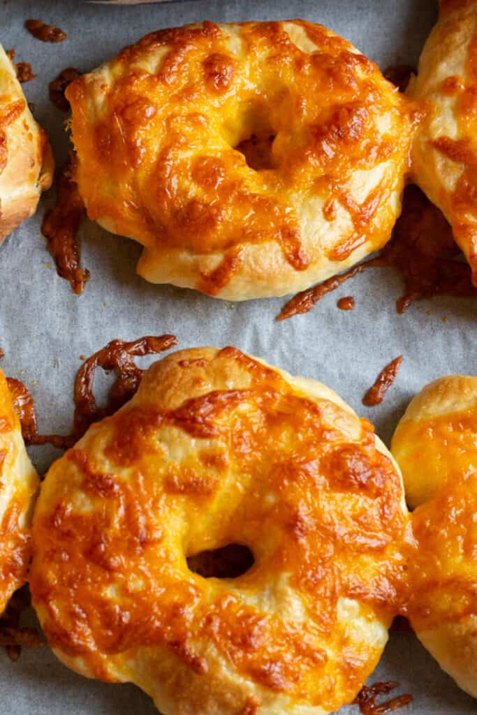 Cheddar Cheese Bagel Recipe She's Not Cookin'