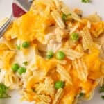 Tuna noodle casserole with Campbell's soup on a white plate with a fork.