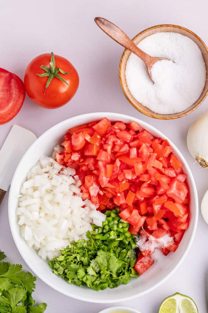 Easy Pico De Gallo Recipe (10 Minutes & 6 Ingredients) | She's Not Cookin'