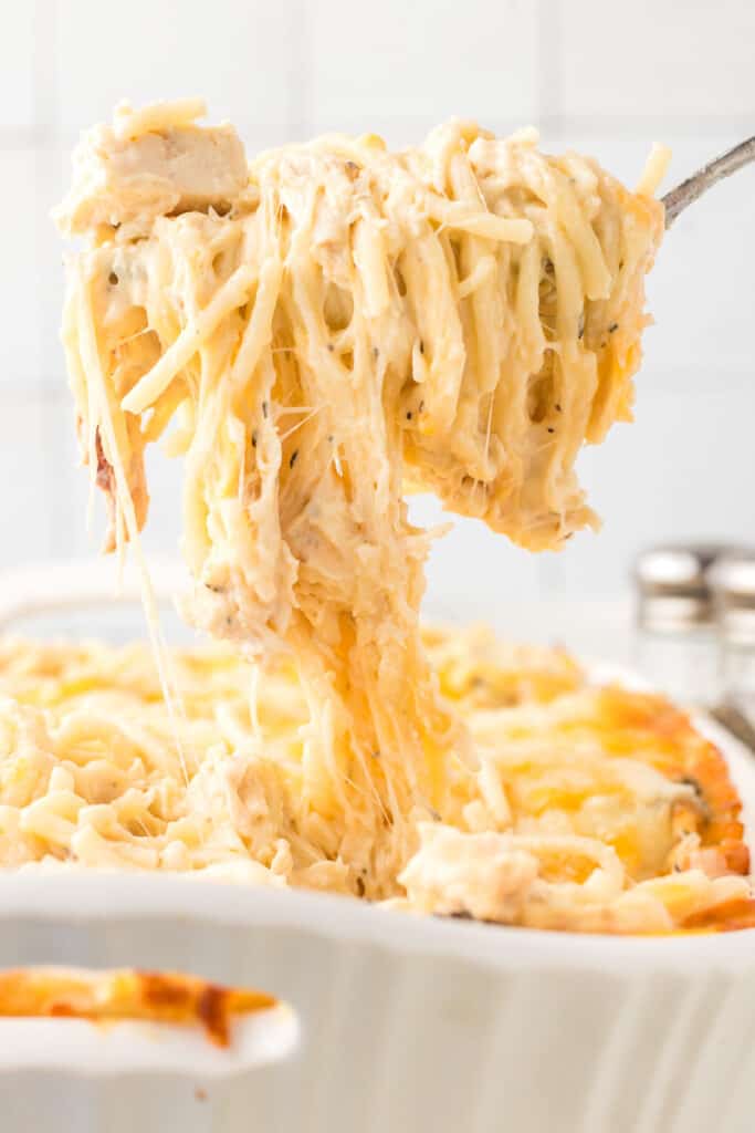 Close up image of serving of chicken tetrazzini on a spoon.