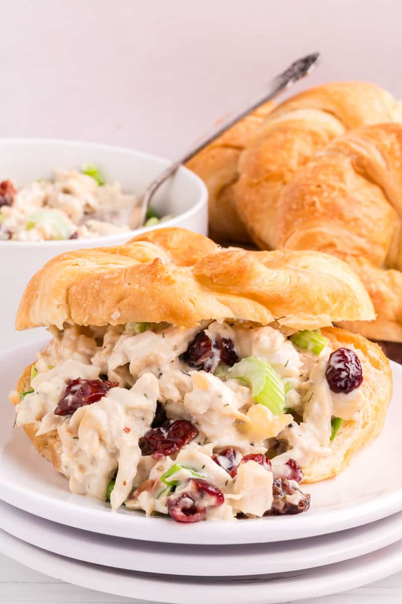 Cranberry chicken salad on a white plate with a buttery croissant.