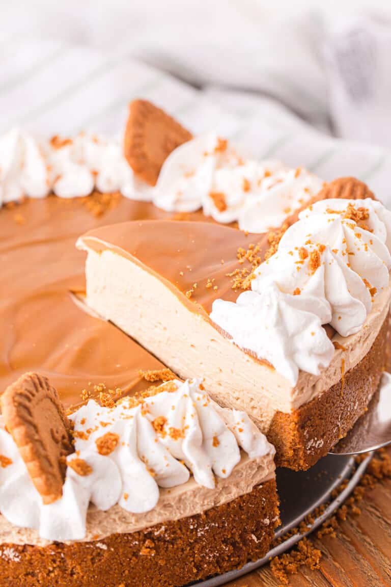 Biscoff cheesecake on serving spoon.