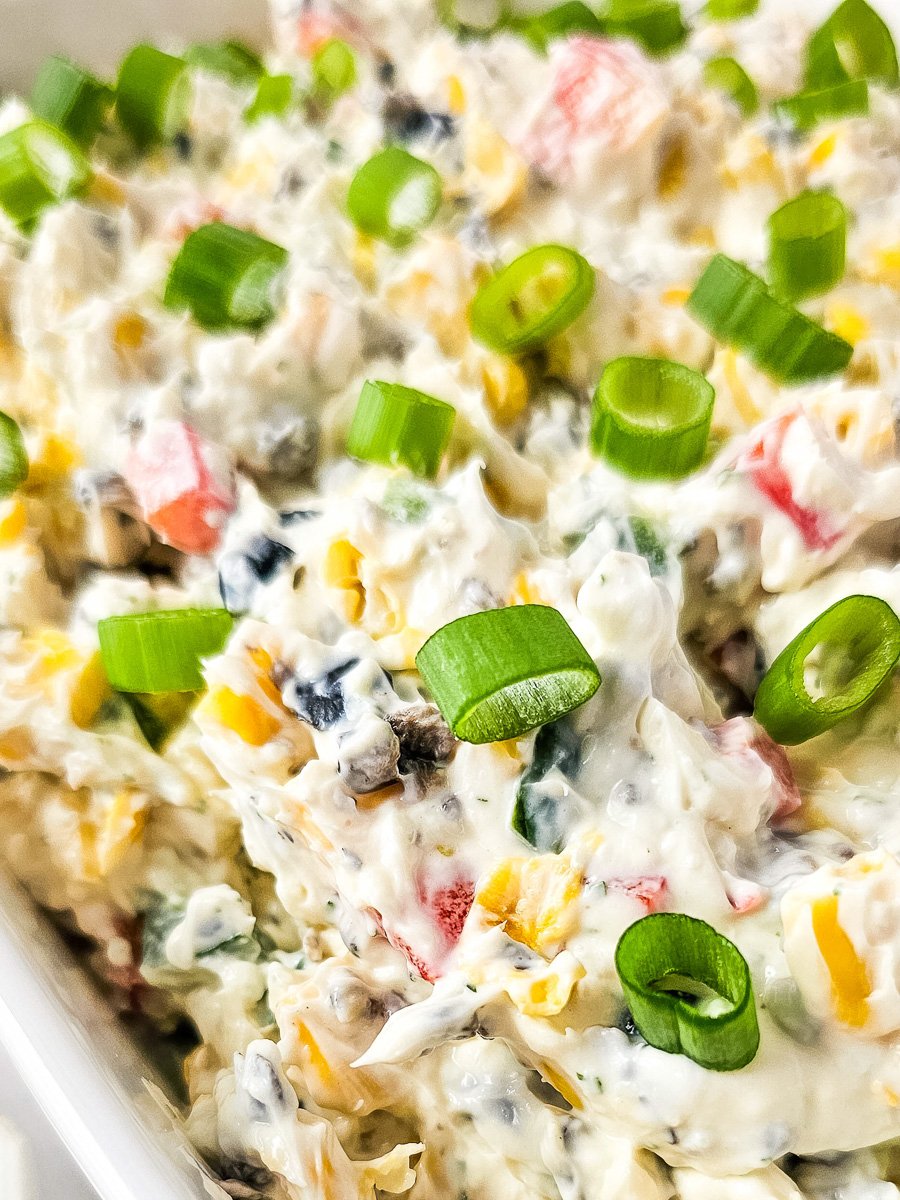 Close up image of poolside dish wtih sliced green onions on top.