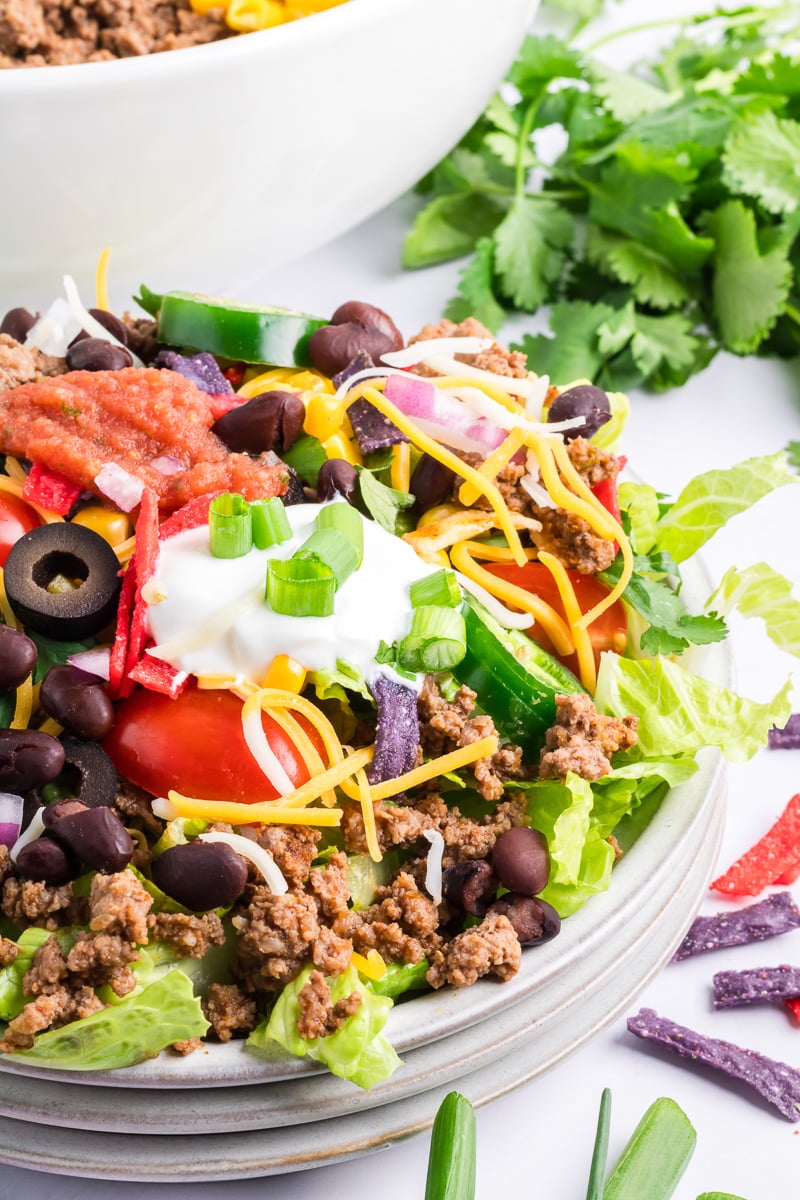 Cheesy beef taco salad on a plate.