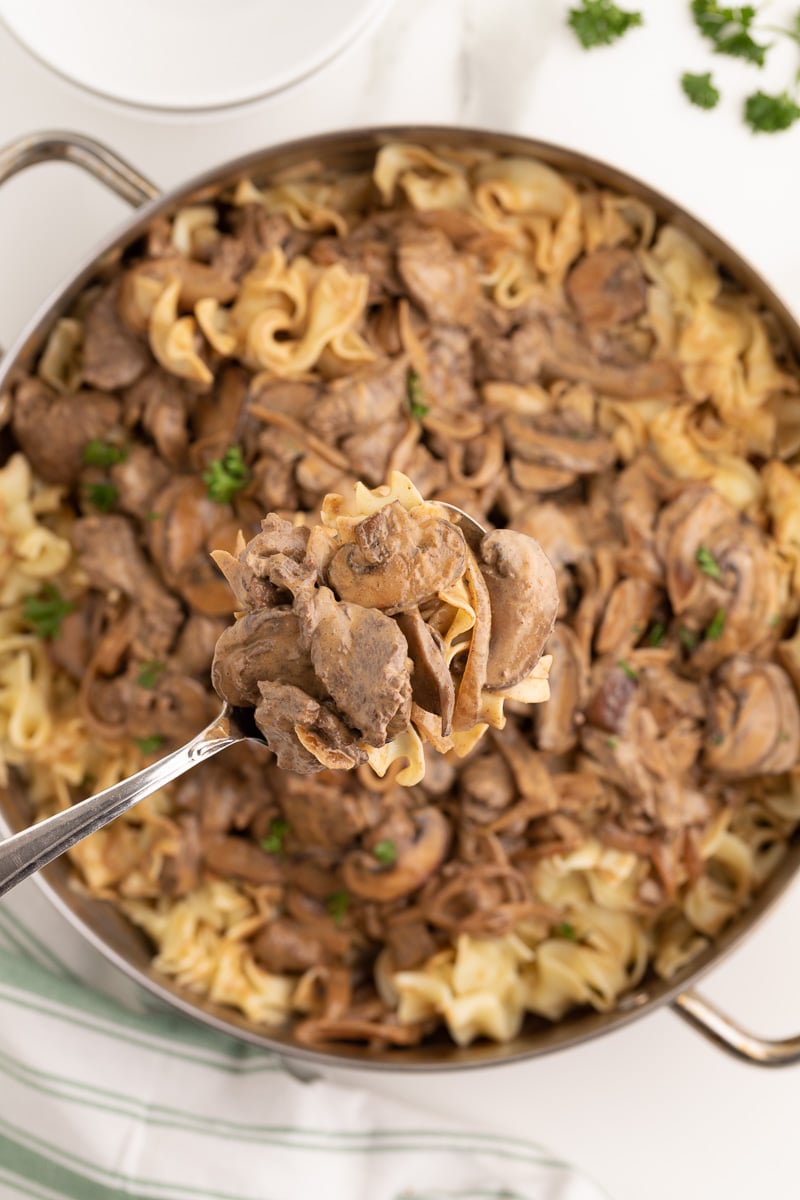 Closeup picture of a spoon with beef stroganoff and egg noodles.