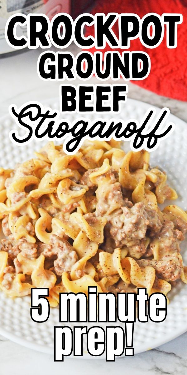 crock-pot-ground-beef-stroganoff-she-s-not-cookin