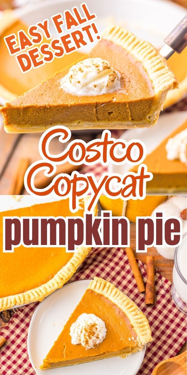 costco-pumpkin-pie-recipe-copycat-she-s-not-cookin