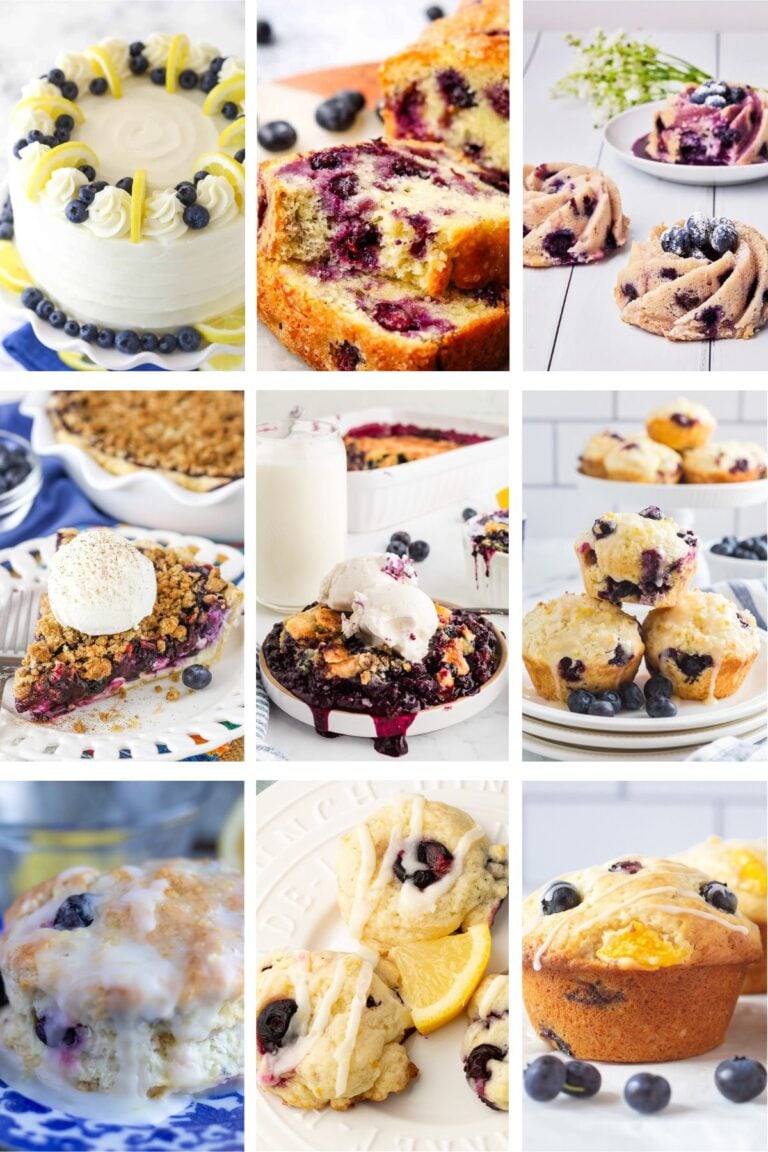Photo collage with blueberry recipes.