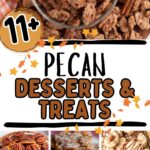 Photo collage with pecan dessert recipes.