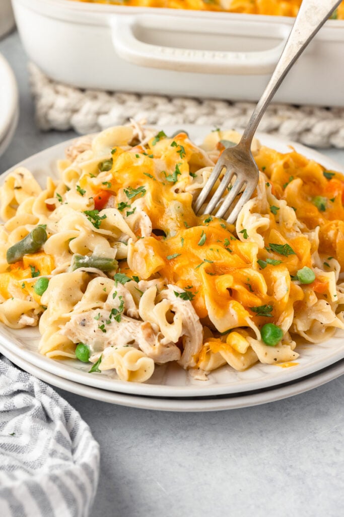 Chicken noodle casserole served on a white plate.