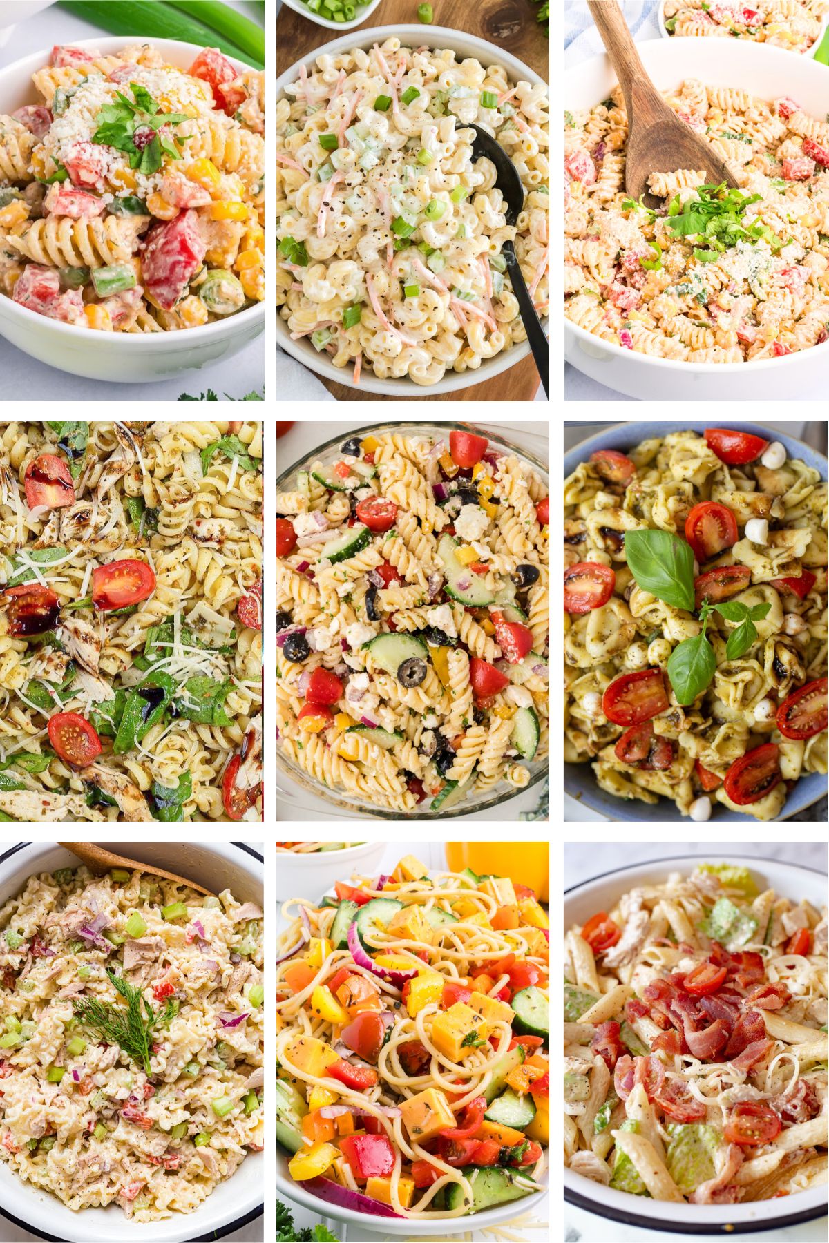 9 Easy Cold Pasta Salad Recipes Perfect for Summer BBQs and Potlucks ...