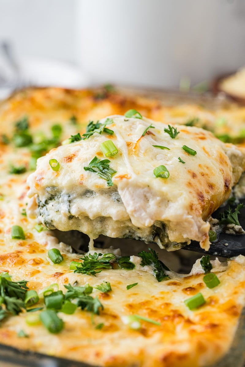 Chicken alfredo lasagna scooped up on spoon.