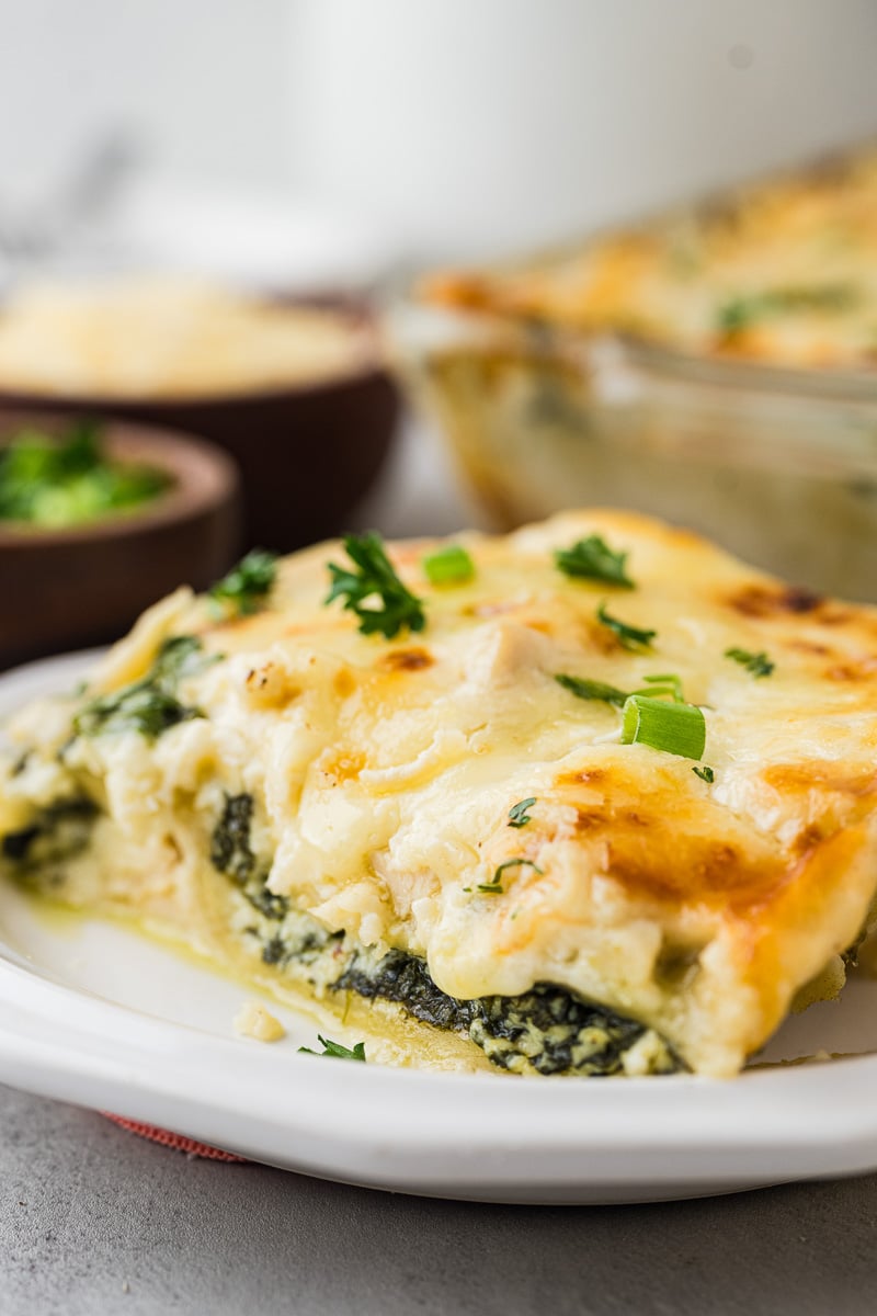 Chicken alfredo lasagna served on a plate.
