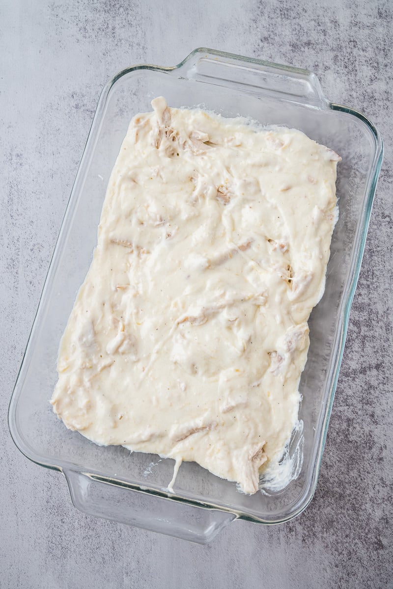 Half of the alfredo sauce is added to the bottom of the baking dish.