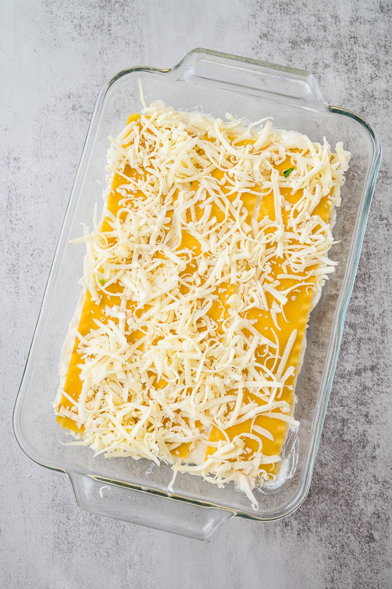 Mozzarella cheese is added to the top of the alfredo sauce.