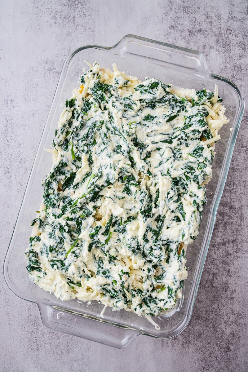 Spinach ricotta mixture is added to the top of the mozarella cheese mixture.