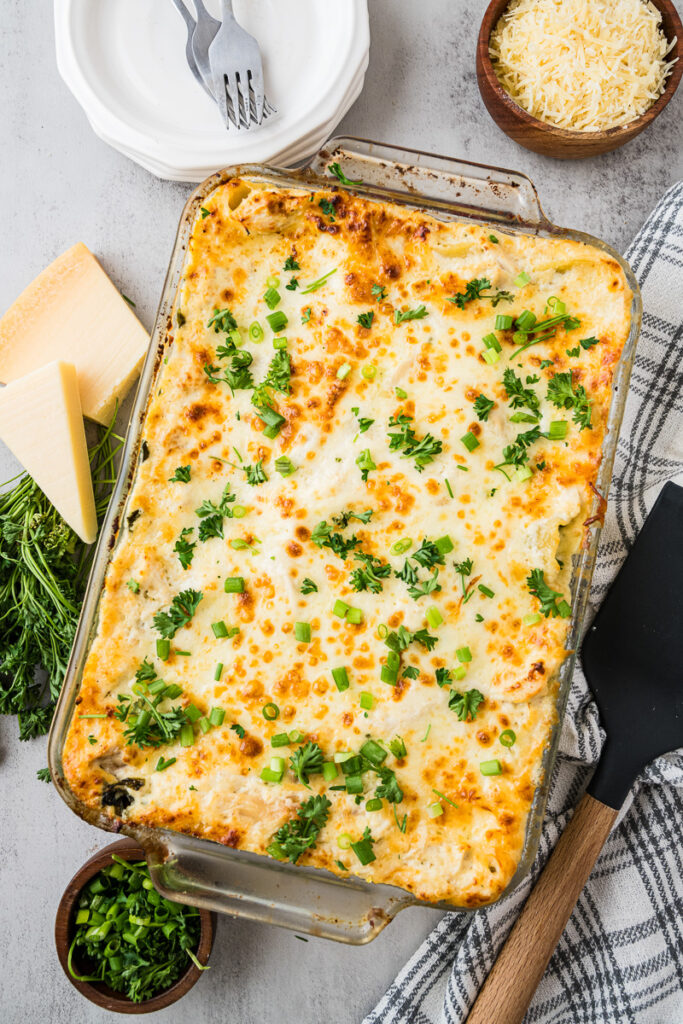 Chicken alfredo lasagna overhead view in baking dish.
