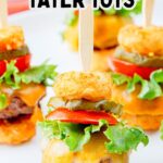 Tater tot cheeseburger bites on a white plate.