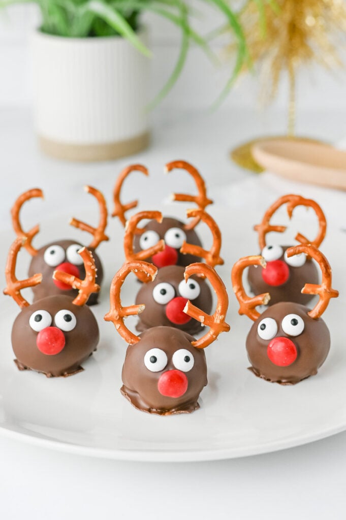 Oreo reindeer balls on a white plate.