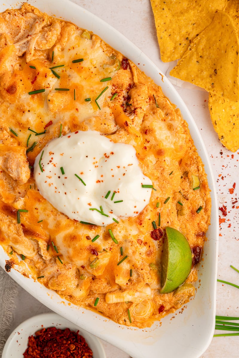 Overhead view of buffalo chicken dip with cream cheese in white baking dish.
