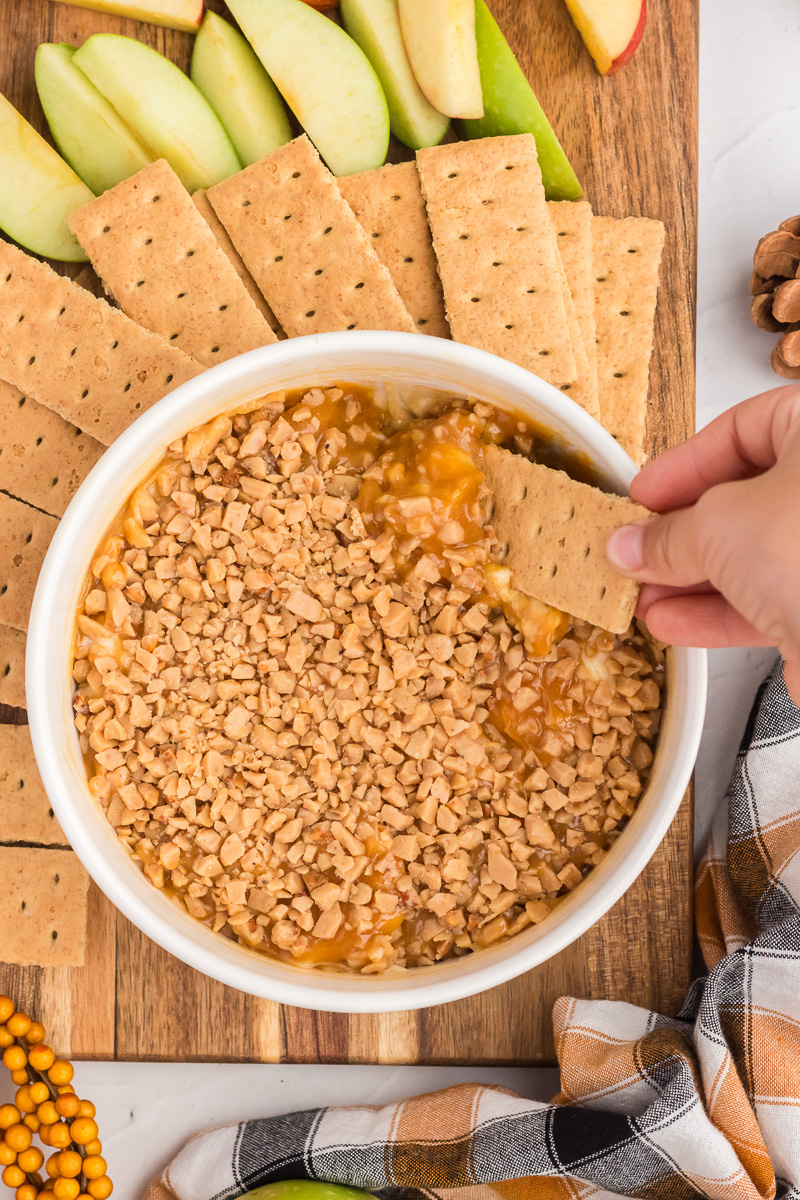 Graham cracker is dipped into caramel apple dip.