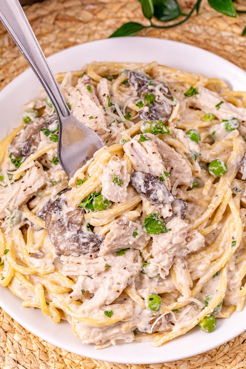 Turkey tetrazzini served on a plate.