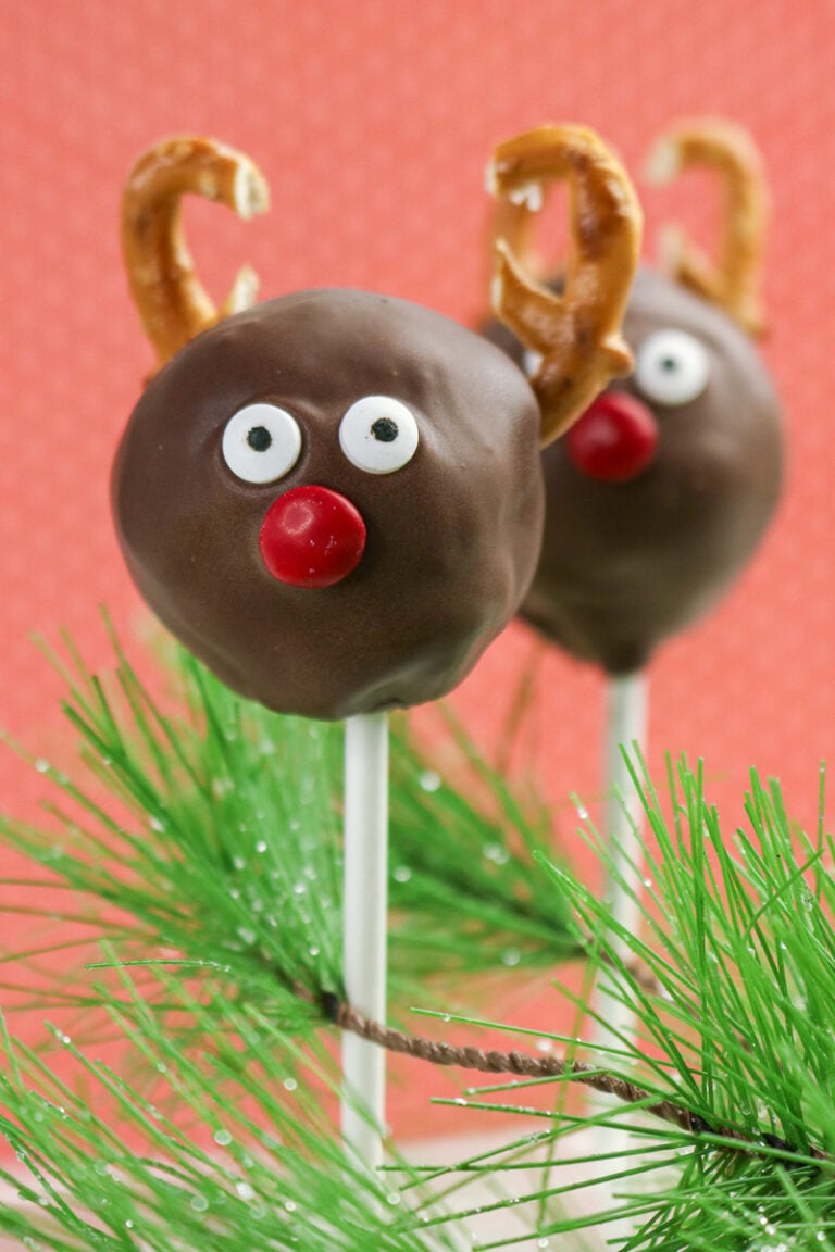 Reinder cake pops close up image.