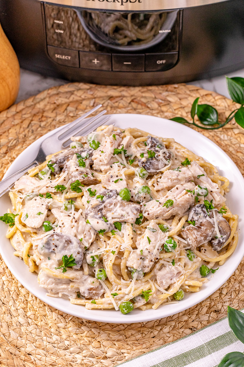 Turkey tetrazzini served on a plate.
