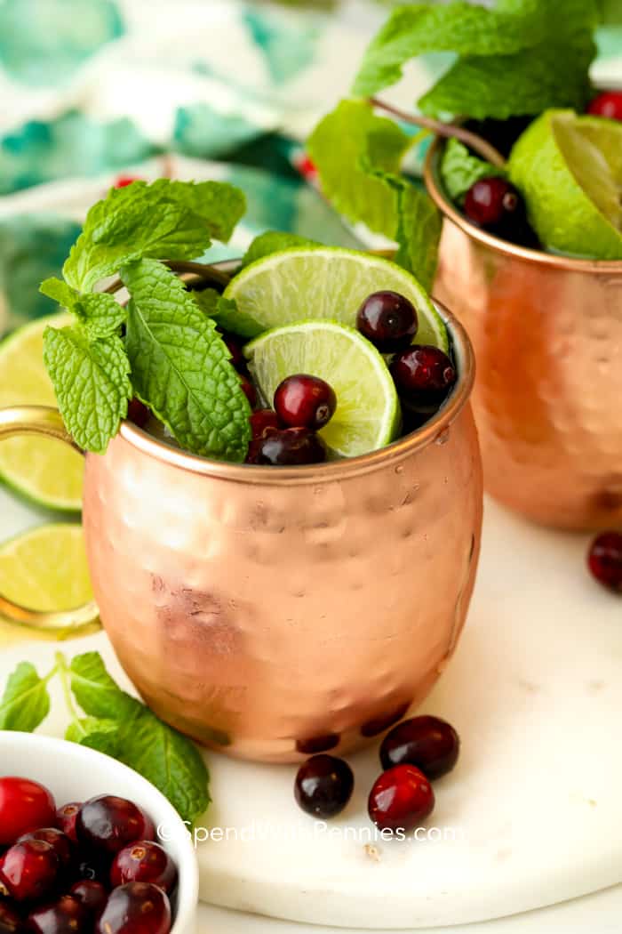 Cranberry Moscow Mule in copper mug.