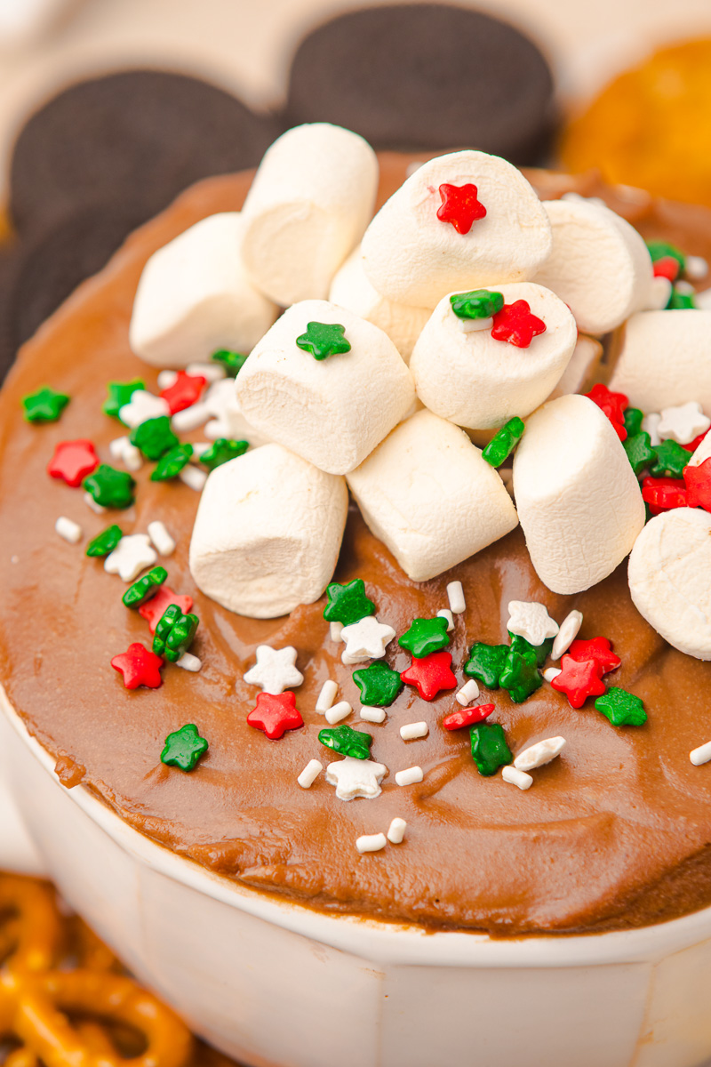 Close up side view of hot chocolate dip in white bowl with mini marshmallows and chocolate sprinkles.