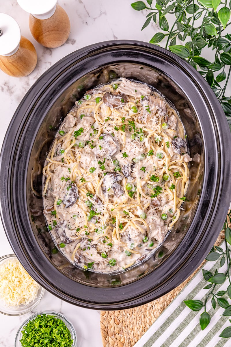 Turkey tetrazzini in crockpot.