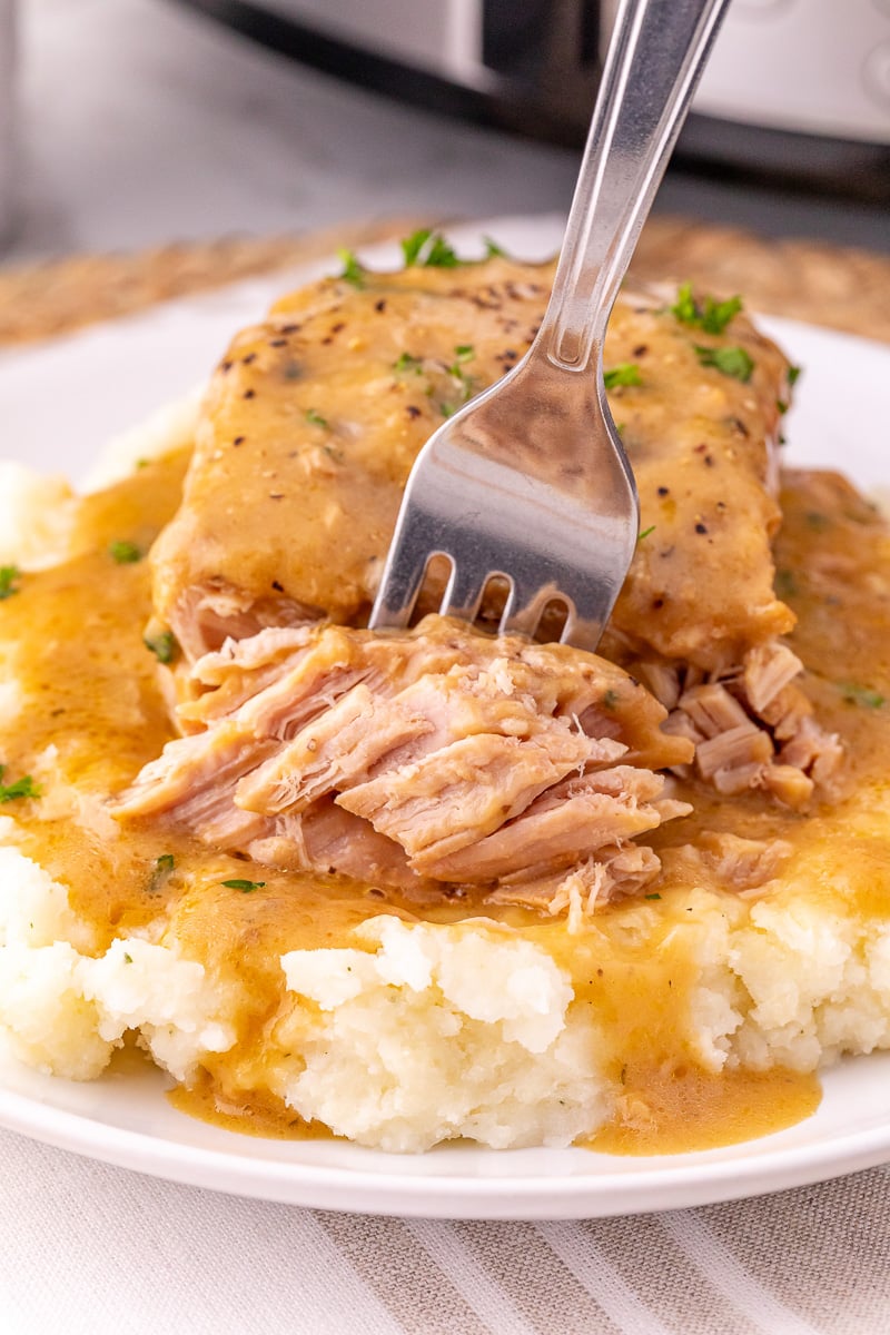 Close up view of fork with ranch pork chops.