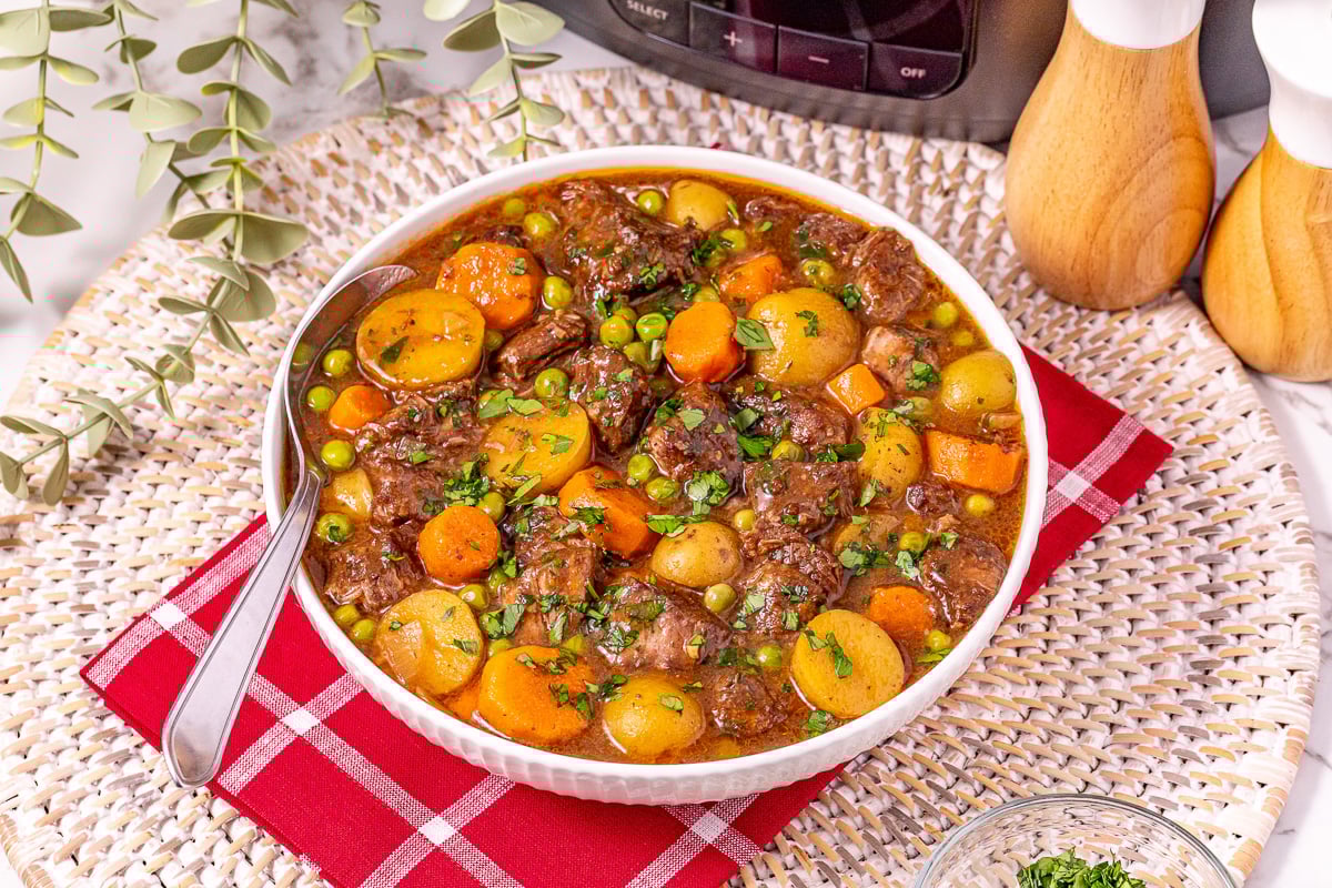 Beef stew in white bowl.