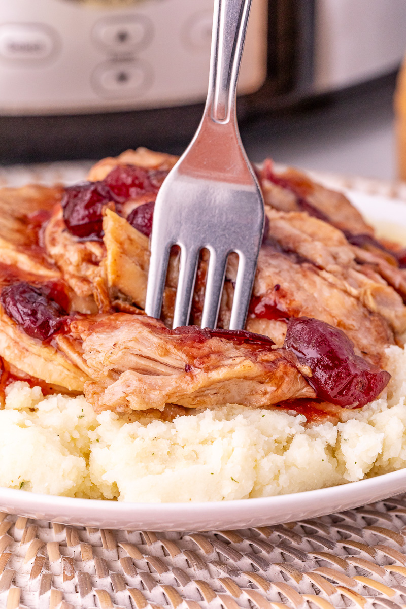Close up view of mashed potatoes and cranberry pork loin on plate.