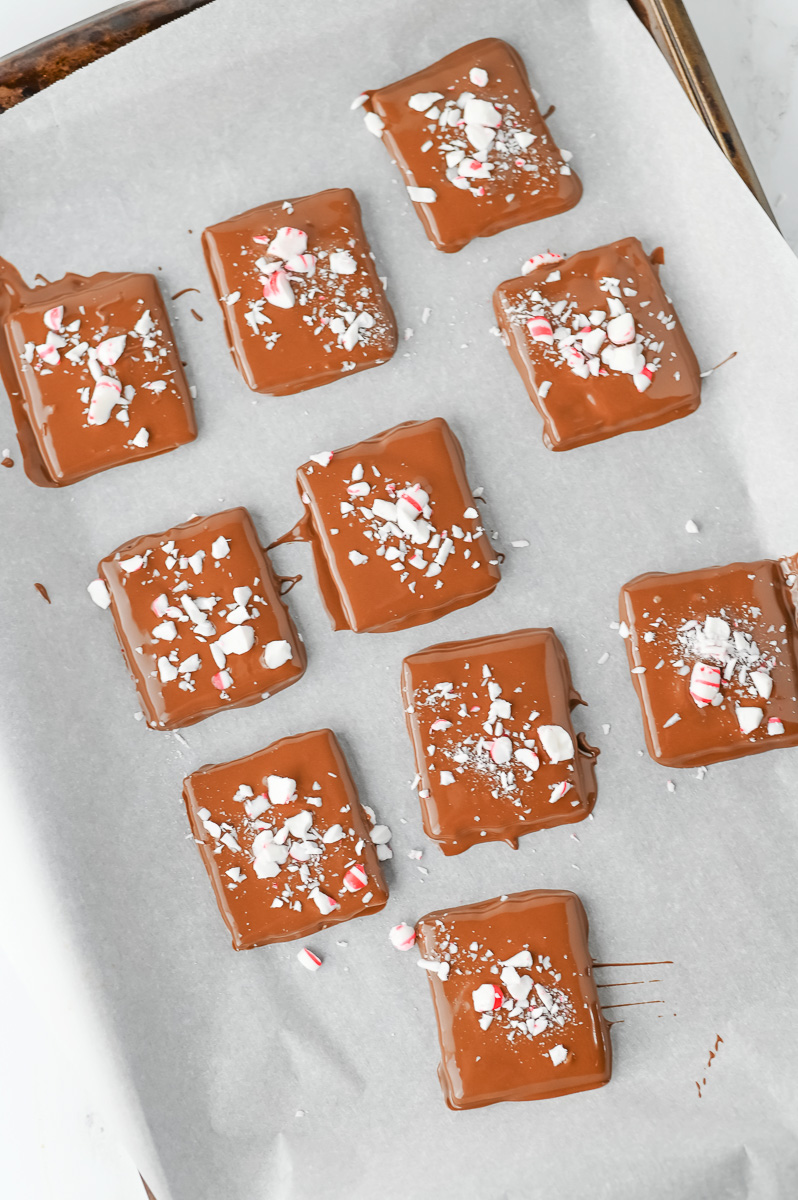 Graham crackers are dipped in milk chocolate and sprinkled with crushed peppermint.