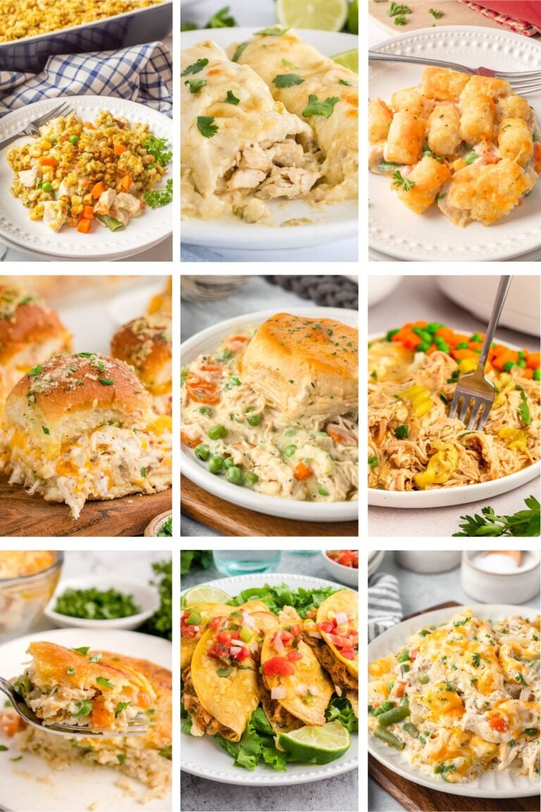 Photo collage with shredded chicken recipes.