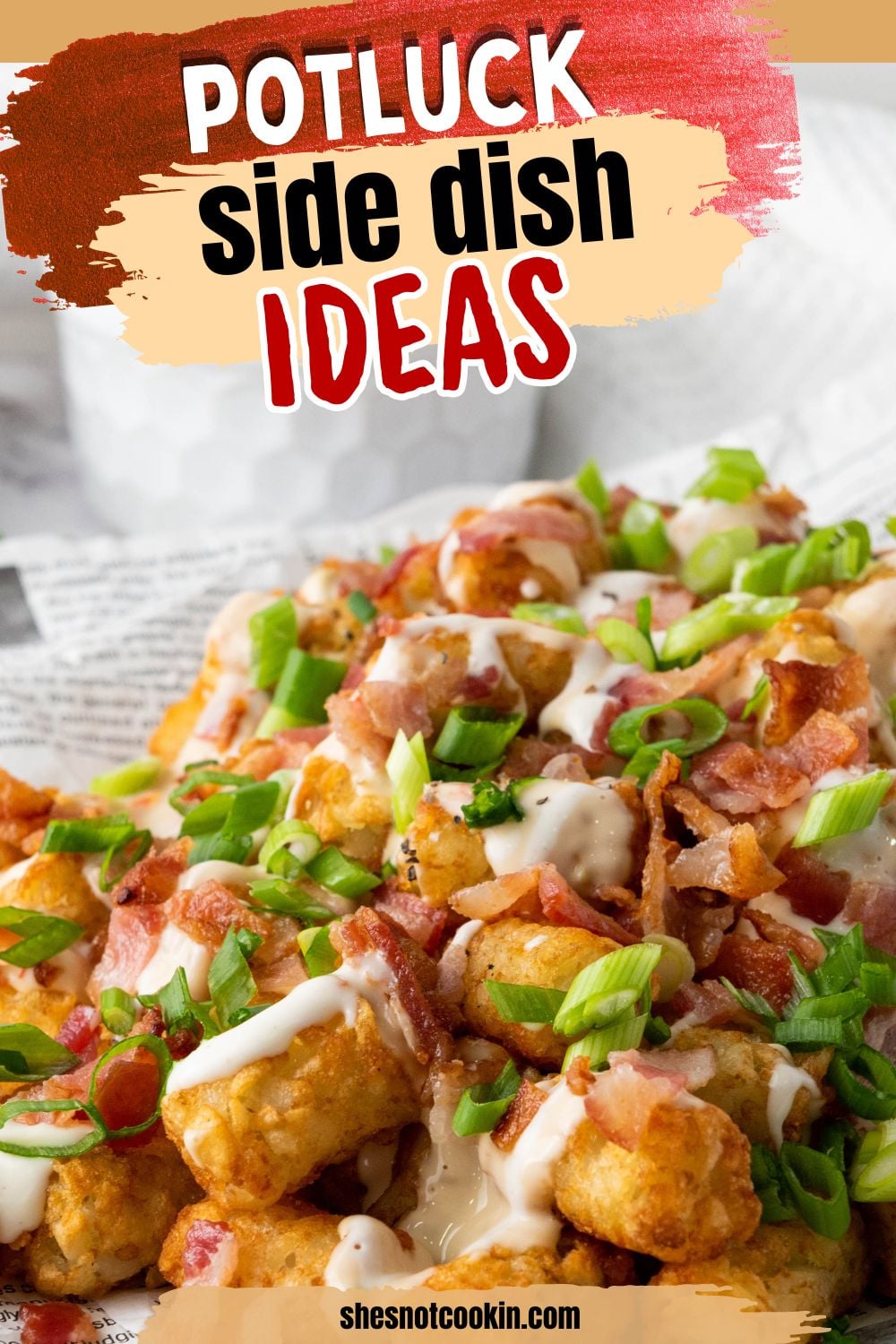 Loaded tater tots on a plate ready to be served.