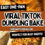 Dumpling bake ready to be served in taking dish.