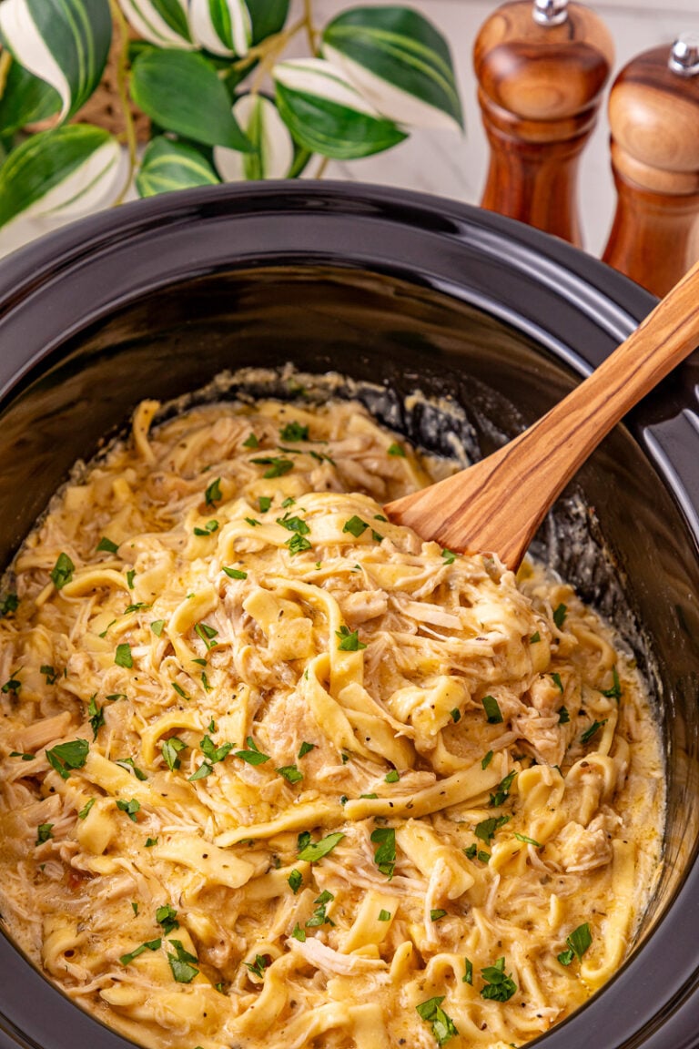Side view of crockpot chicken and noodles with spoon.