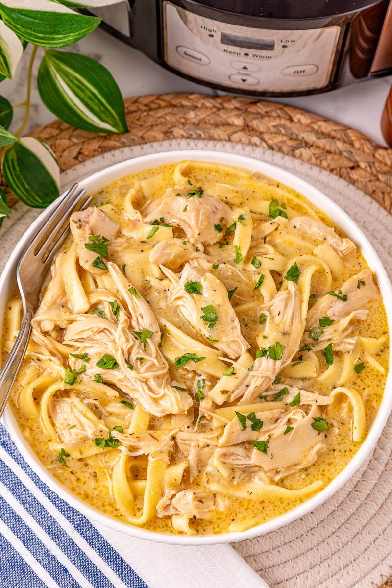 Crockpot chicken and noodles in white bowl.