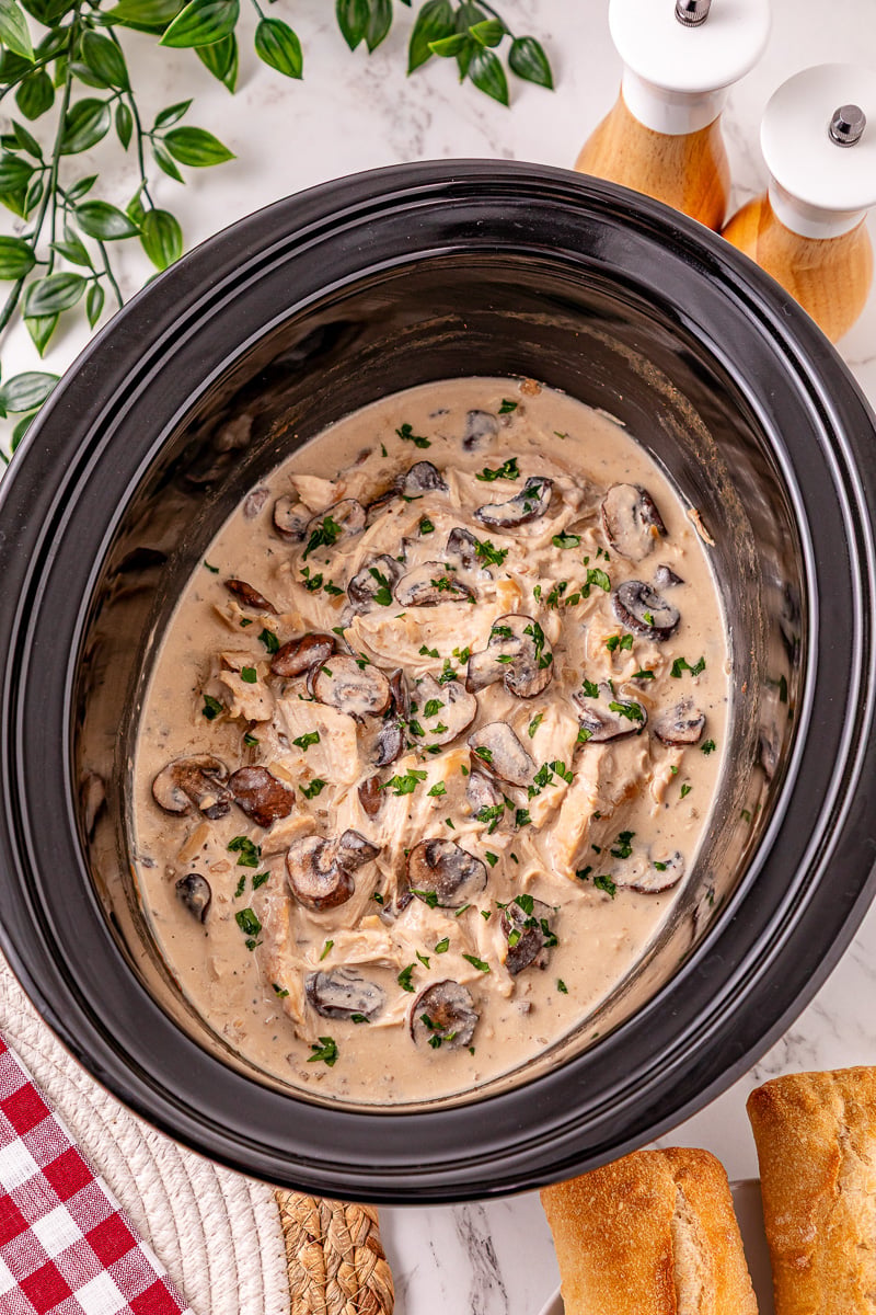 Crockpot creamy mushroom chicken in slow cooker ready to be served.