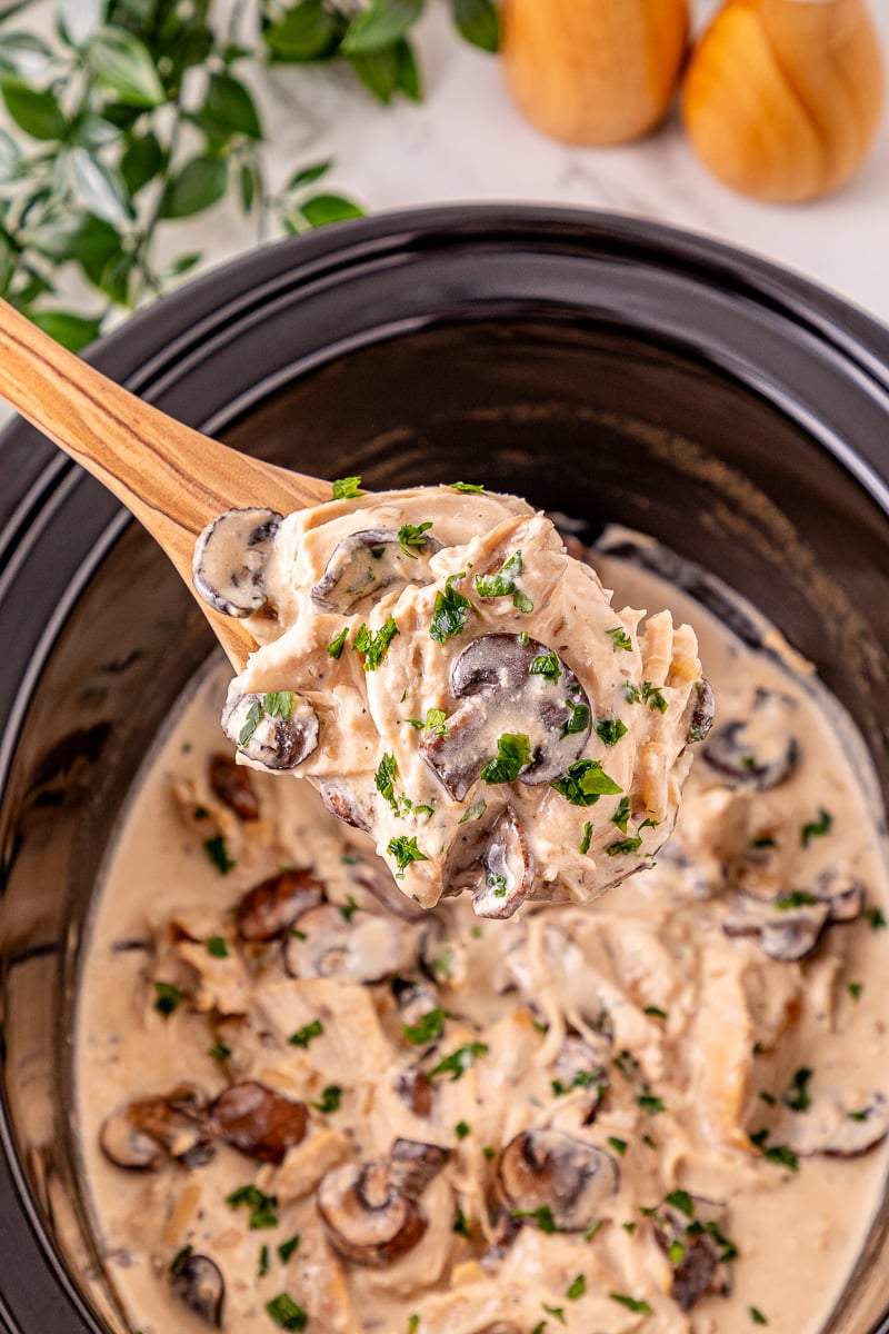 Crockpot creamy mushroom chicken scooped up on a spoon.