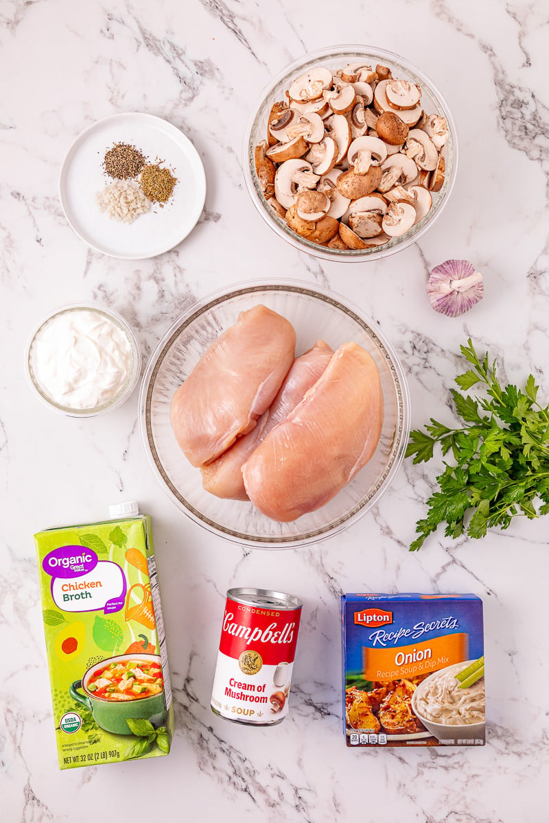 Crockpot creamy chicken recipe ingredients laid out on counter.