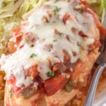 Crockpot salsa chicken on a white plate.