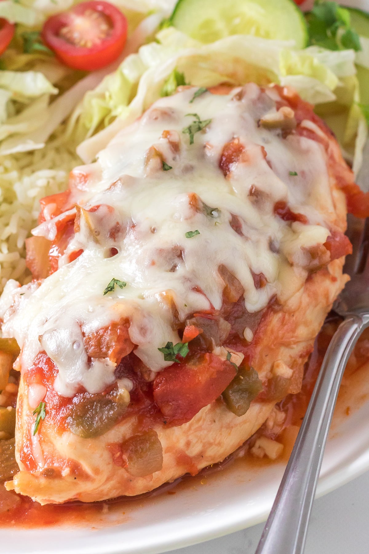 Crockpot salsa chicken on a white plate.