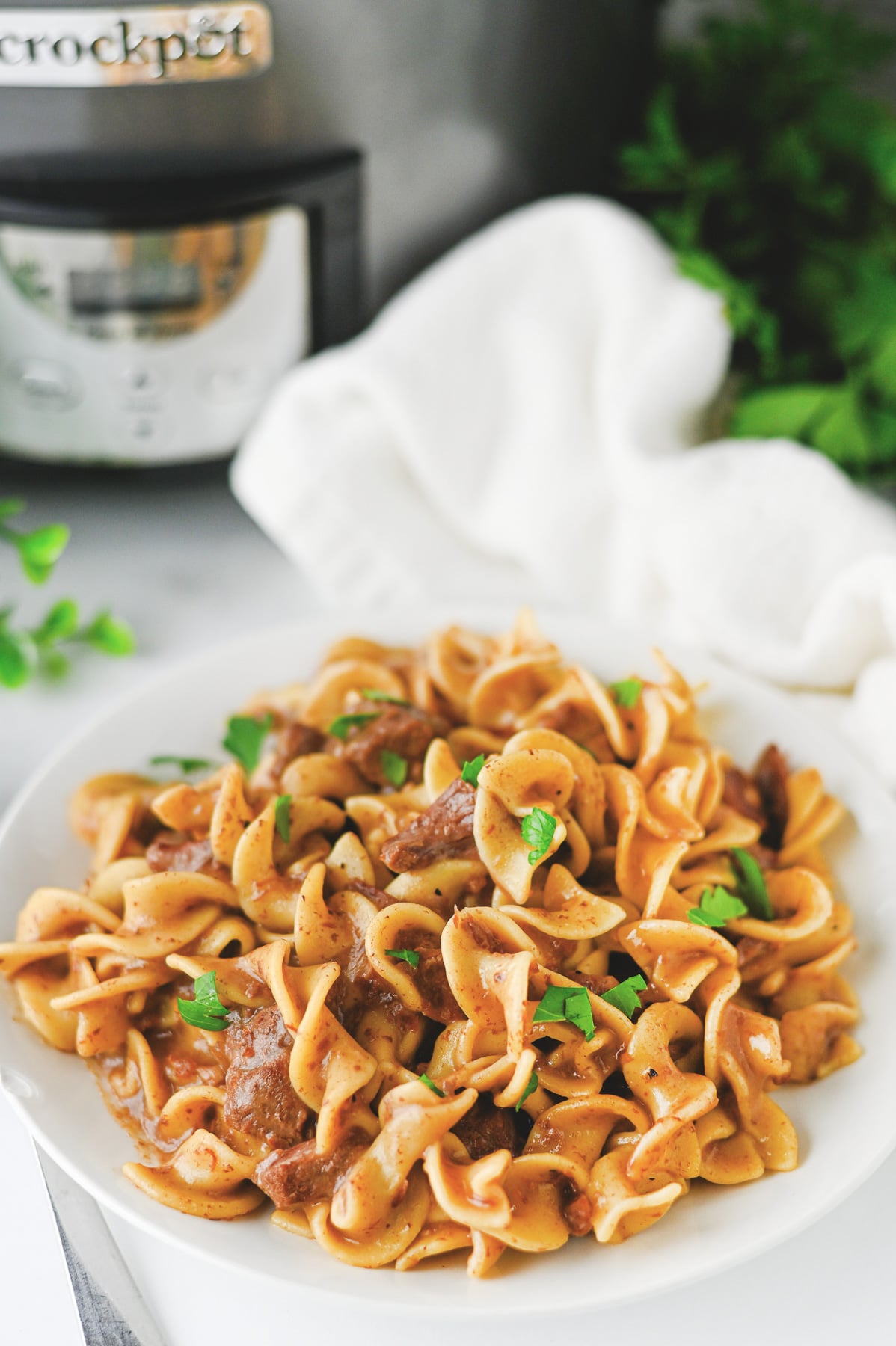 Crockpot beef & noodles on a white plate.