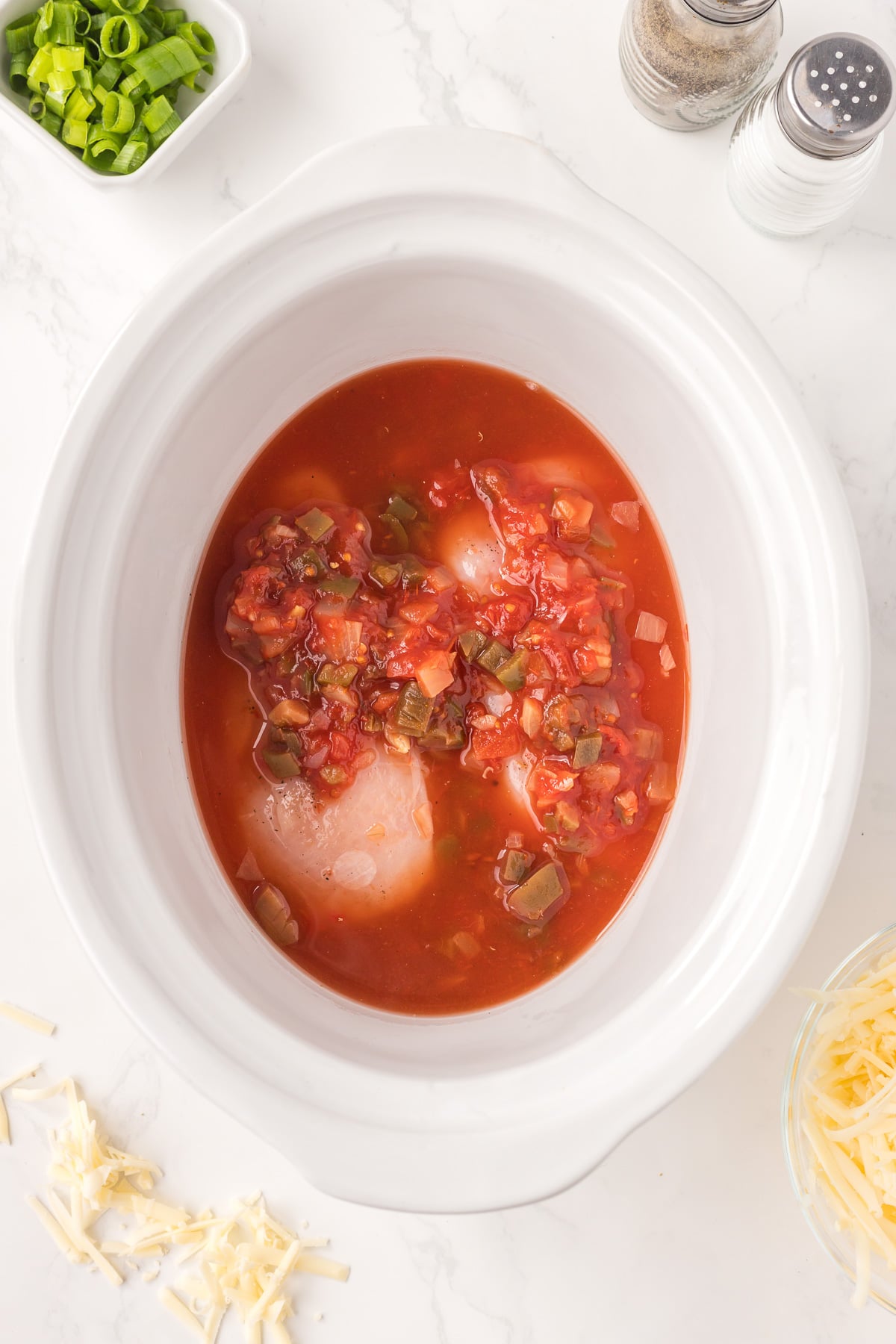 Chicken breast and salsa in crockpot.