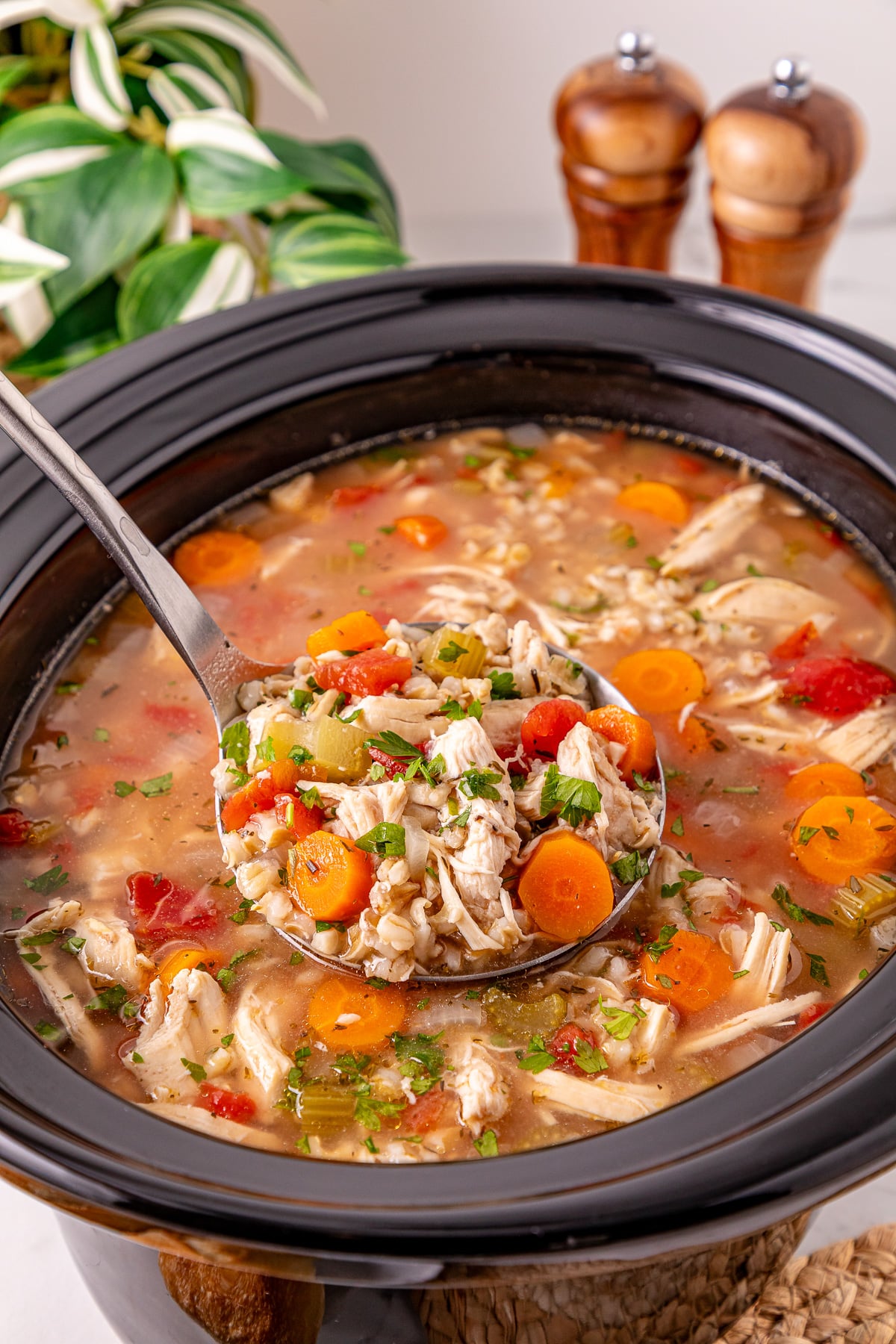 Crockpot chicken and barley soup in crockpot scooped up with a ladle.
