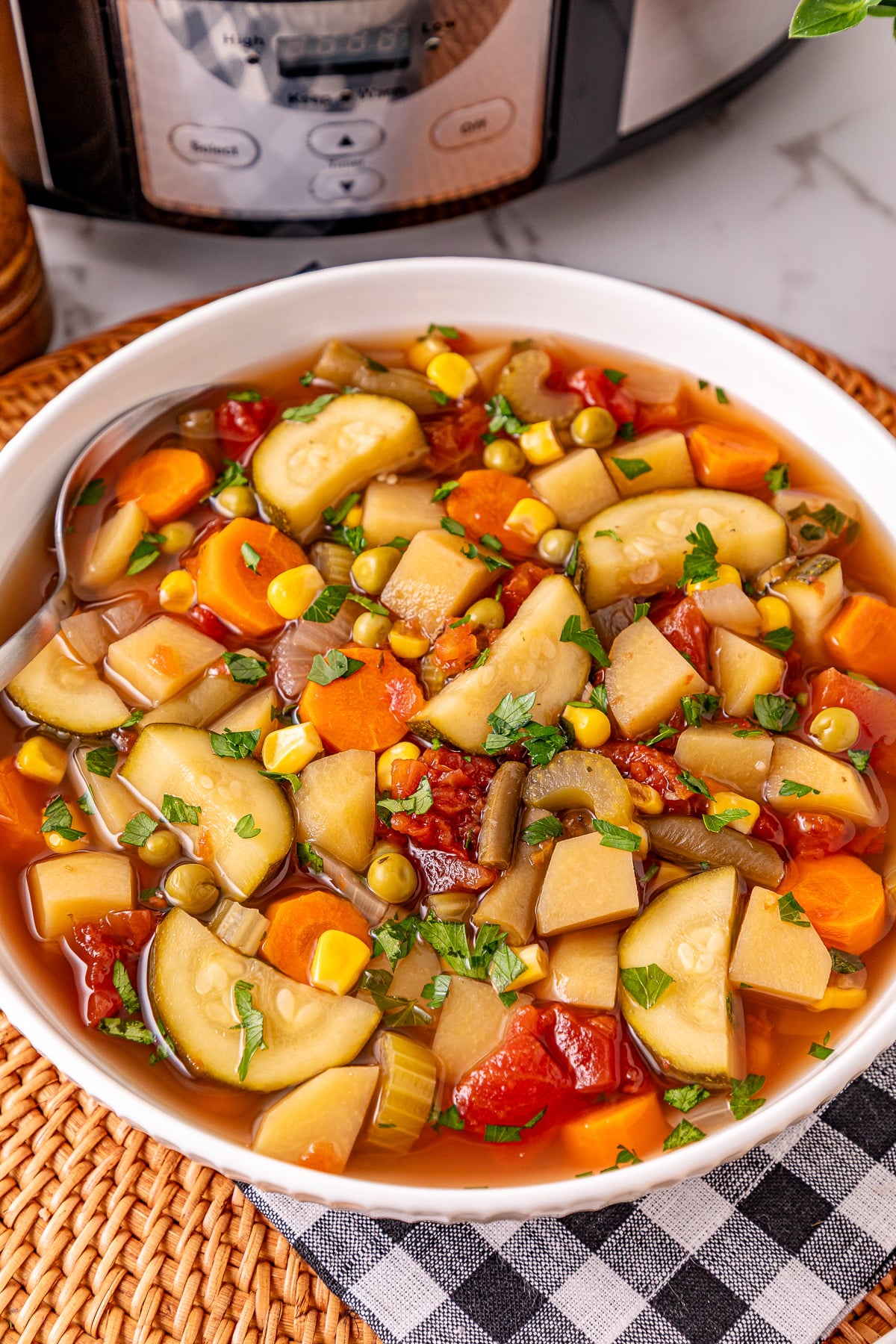 Bowl of crockpot vegetable soup ready to eat.